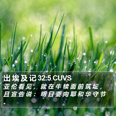 出 埃 及 记 32:5 CUVS Bible Verse Image