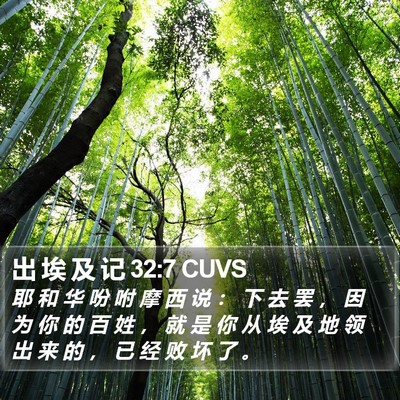 出 埃 及 记 32:7 CUVS Bible Verse Image