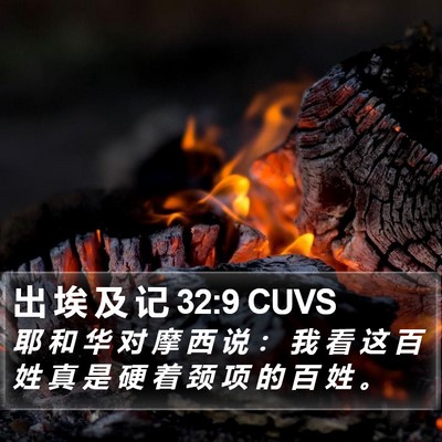出 埃 及 记 32:9 CUVS Bible Verse Image