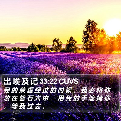 出 埃 及 记 33:22 CUVS Bible Verse Image