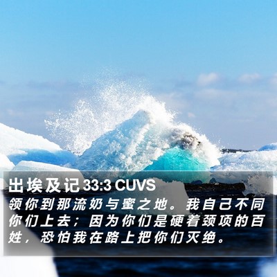 出 埃 及 记 33:3 CUVS Bible Verse Image