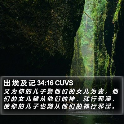 出 埃 及 记 34:16 CUVS Bible Verse Image