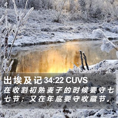 出 埃 及 记 34:22 CUVS Bible Verse Image