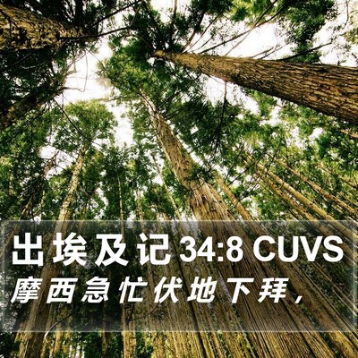 出 埃 及 记 34:8 CUVS Bible Verse Image