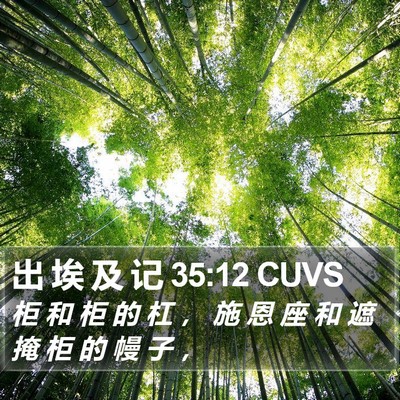 出 埃 及 记 35:12 CUVS Bible Verse Image