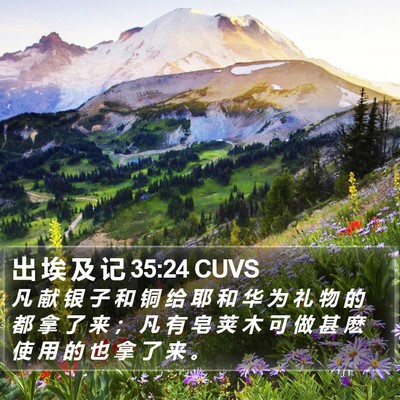 出 埃 及 记 35:24 CUVS Bible Verse Image