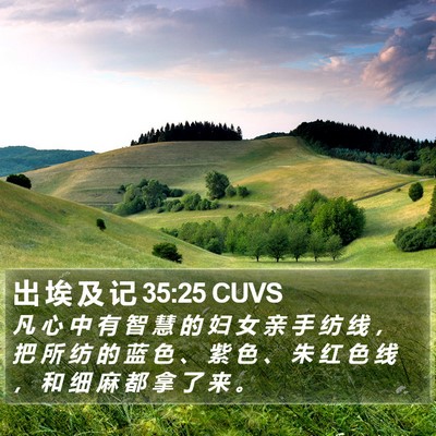 出 埃 及 记 35:25 CUVS Bible Verse Image