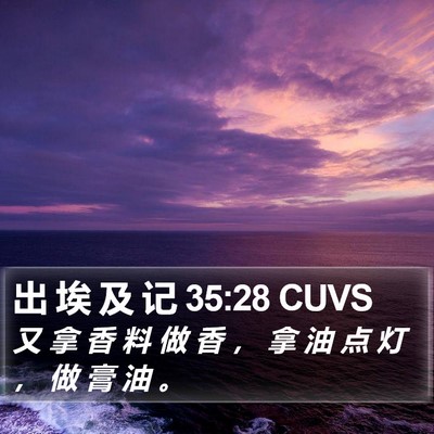 出 埃 及 记 35:28 CUVS Bible Verse Image