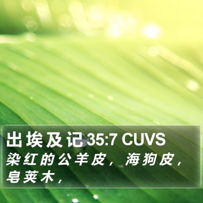 出 埃 及 记 35:7 CUVS Bible Verse Image