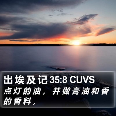 出 埃 及 记 35:8 CUVS Bible Verse Image