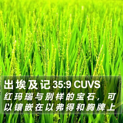 出 埃 及 记 35:9 CUVS Bible Verse Image