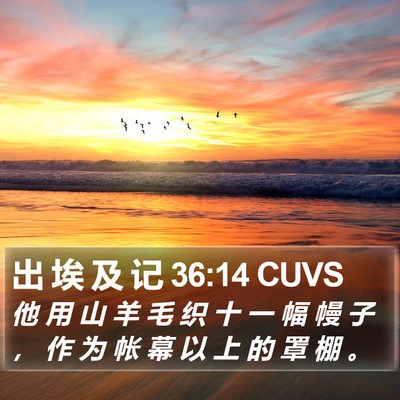 出 埃 及 记 36:14 CUVS Bible Verse Image