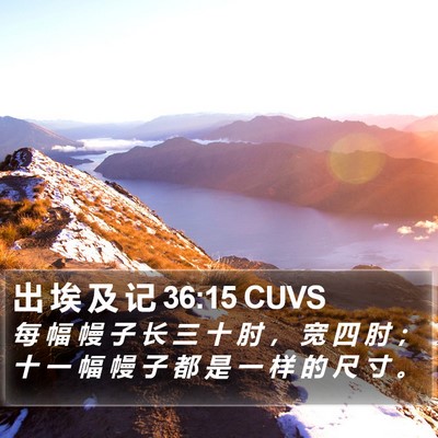 出 埃 及 记 36:15 CUVS Bible Verse Image
