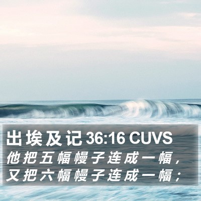 出 埃 及 记 36:16 CUVS Bible Verse Image
