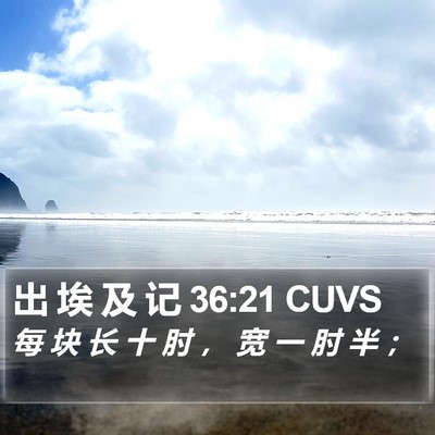 出 埃 及 记 36:21 CUVS Bible Verse Image