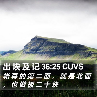 出 埃 及 记 36:25 CUVS Bible Verse Image