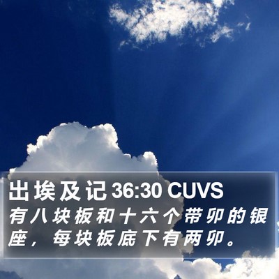 出 埃 及 记 36:30 CUVS Bible Verse Image