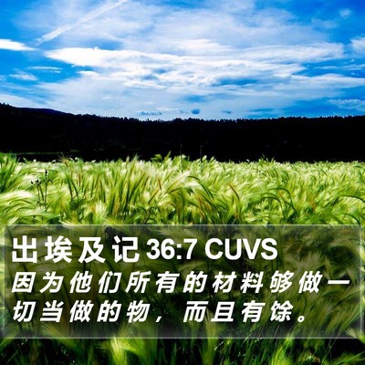 出 埃 及 记 36:7 CUVS Bible Verse Image