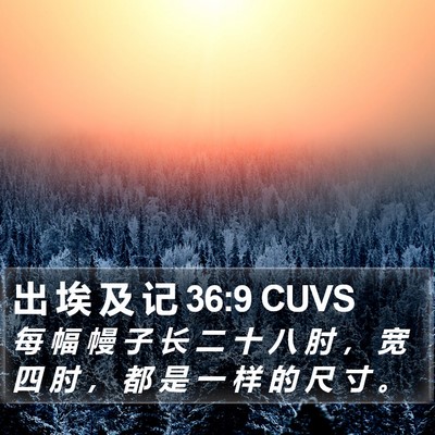 出 埃 及 记 36:9 CUVS Bible Verse Image