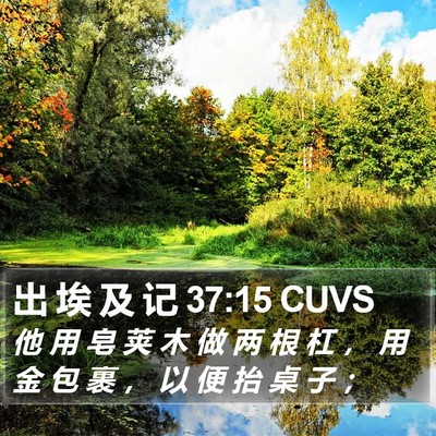 出 埃 及 记 37:15 CUVS Bible Verse Image