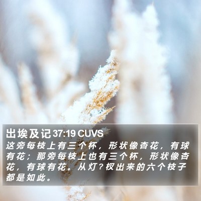 出 埃 及 记 37:19 CUVS Bible Verse Image