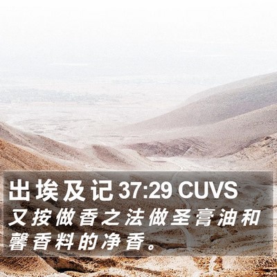 出 埃 及 记 37:29 CUVS Bible Verse Image