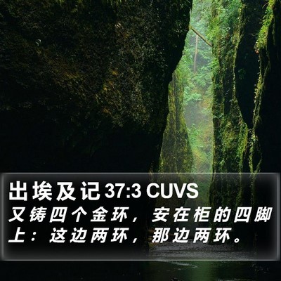 出 埃 及 记 37:3 CUVS Bible Verse Image
