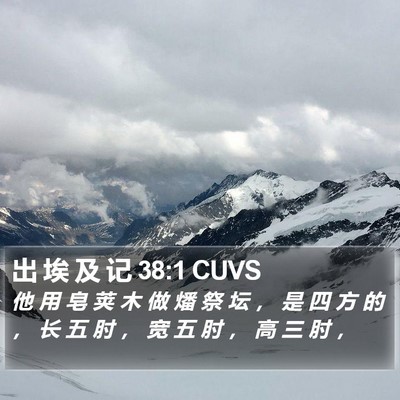 出 埃 及 记 38:1 CUVS Bible Verse Image
