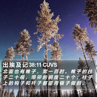出 埃 及 记 38:11 CUVS Bible Verse Image