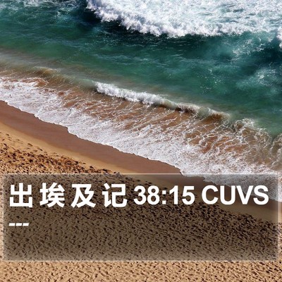 出 埃 及 记 38:15 CUVS Bible Verse Image