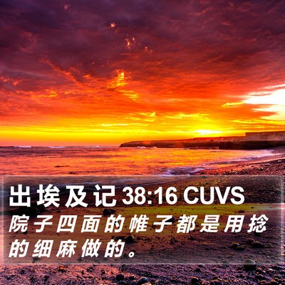 出 埃 及 记 38:16 CUVS Bible Verse Image