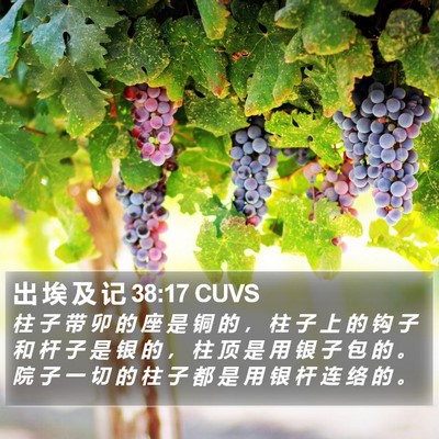 出 埃 及 记 38:17 CUVS Bible Verse Image