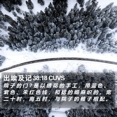 出 埃 及 记 38:18 CUVS Bible Verse Image