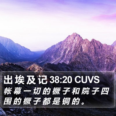 出 埃 及 记 38:20 CUVS Bible Verse Image