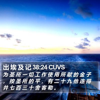 出 埃 及 记 38:24 CUVS Bible Verse Image