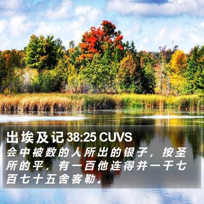 出 埃 及 记 38:25 CUVS Bible Verse Image