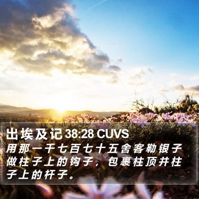 出 埃 及 记 38:28 CUVS Bible Verse Image
