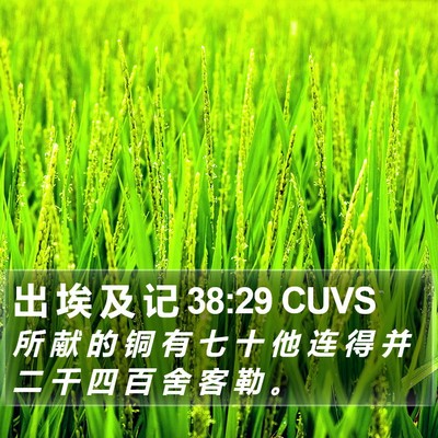 出 埃 及 记 38:29 CUVS Bible Verse Image