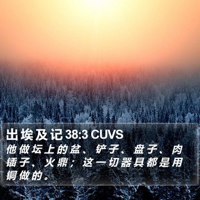 出 埃 及 记 38:3 CUVS Bible Verse Image