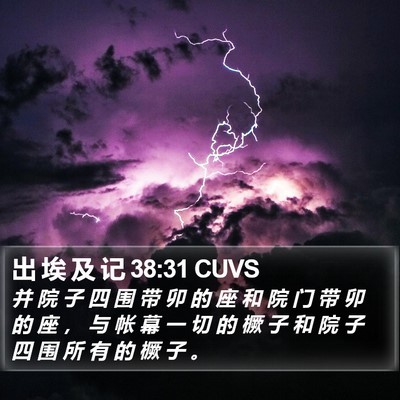 出 埃 及 记 38:31 CUVS Bible Verse Image