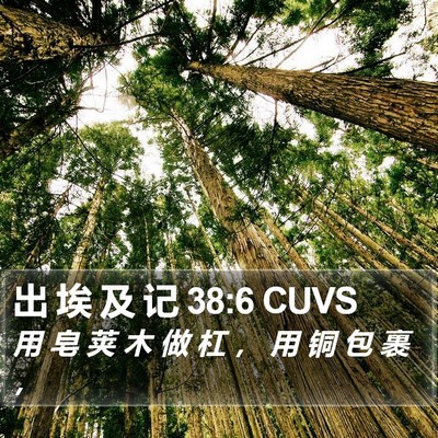 出 埃 及 记 38:6 CUVS Bible Verse Image