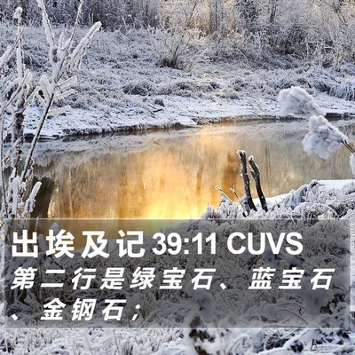 出 埃 及 记 39:11 CUVS Bible Verse Image