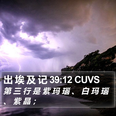 出 埃 及 记 39:12 CUVS Bible Verse Image