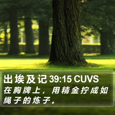 出 埃 及 记 39:15 CUVS Bible Verse Image