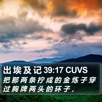 出 埃 及 记 39:17 CUVS Bible Verse Image