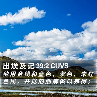 出 埃 及 记 39:2 CUVS Bible Verse Image
