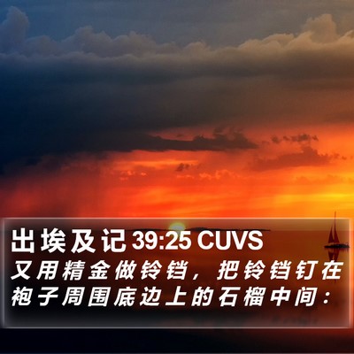出 埃 及 记 39:25 CUVS Bible Verse Image