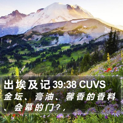 出 埃 及 记 39:38 CUVS Bible Verse Image