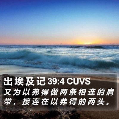 出 埃 及 记 39:4 CUVS Bible Verse Image