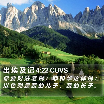 出 埃 及 记 4:22 CUVS Bible Verse Image